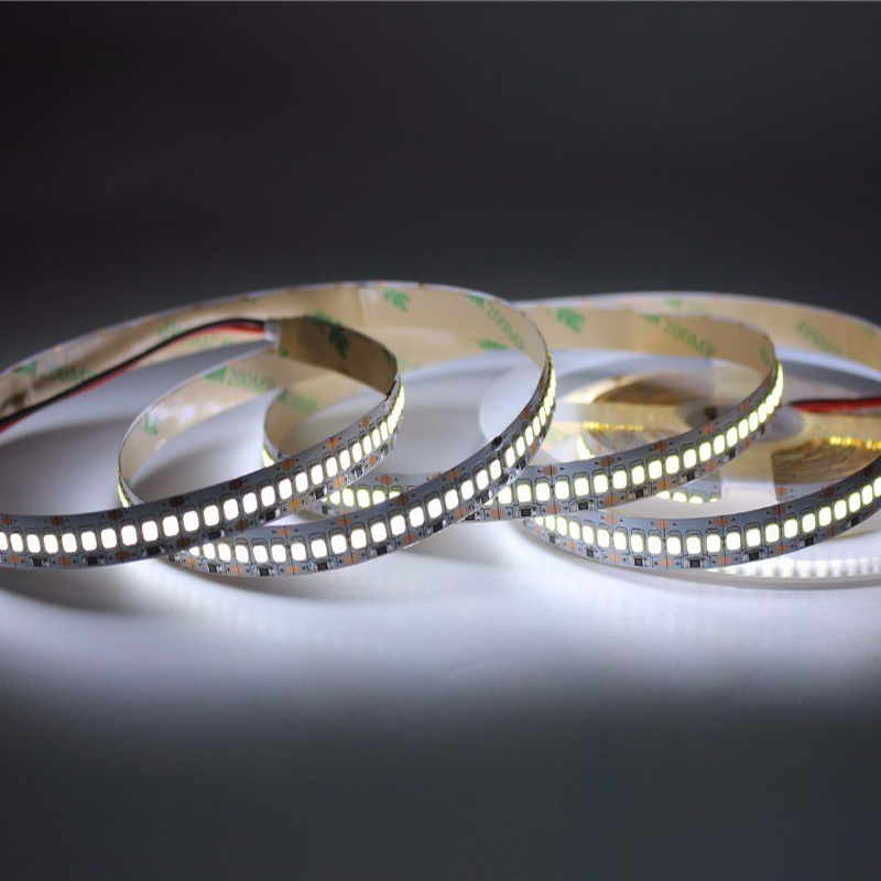 New Arrival 3 Years Warranty DC12V DC24V SMD2835 Double Layer Copper 3OZ Flexible LED Stripe Light 240LED Per Meter